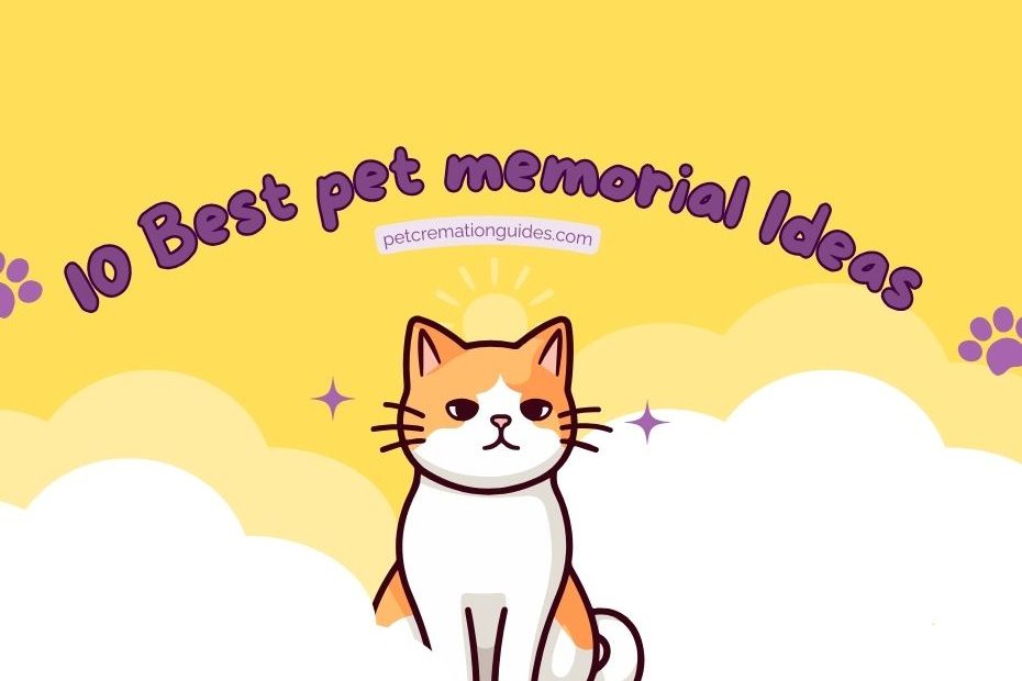 in this post we have given 10 best pet memorial ideas for someone who is going through pet loss