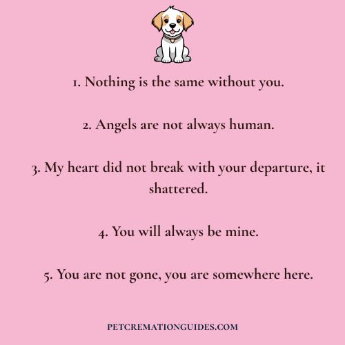 Short Pet Loss Quotes – Short but effective words