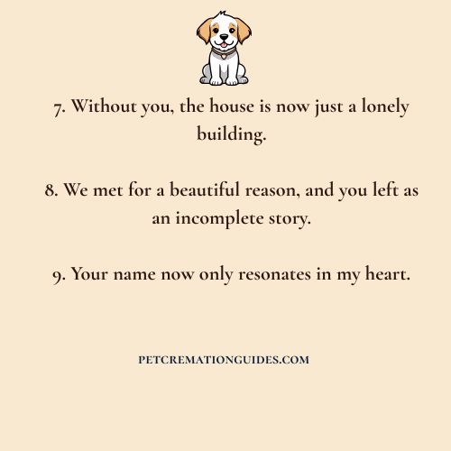 Grieving Pet Loss Quotes