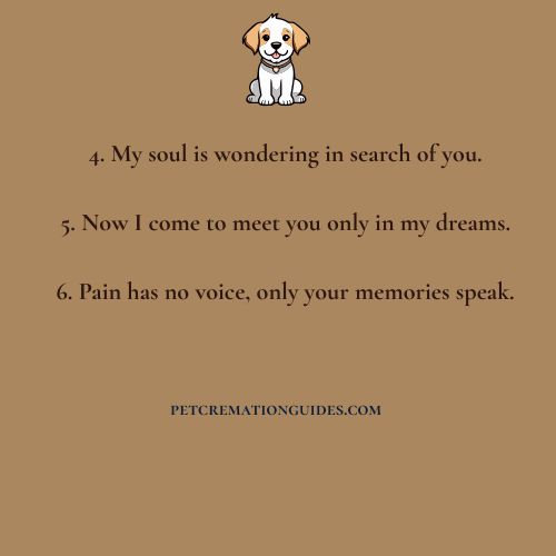 Pet Loss Grief Quotes
