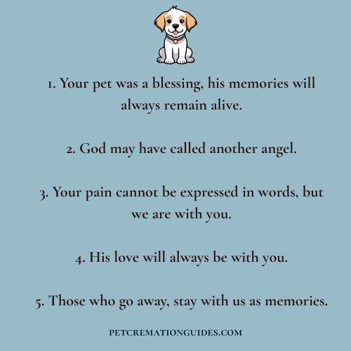 Sympathy Quotes for Loss of Pet