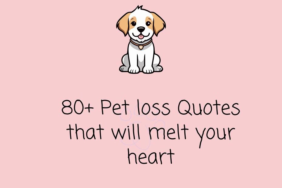pet loss quotes for someone who lost their pet recently