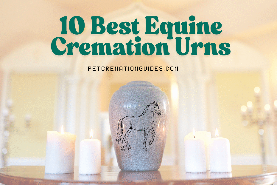 10 best equine cremation urn for your horse
