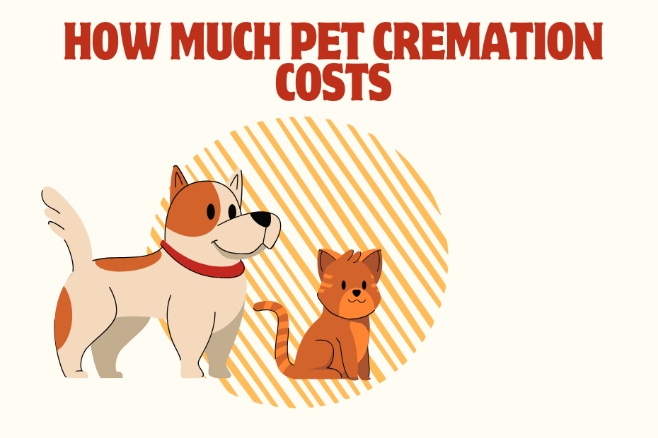 How much does pet cremation cost
