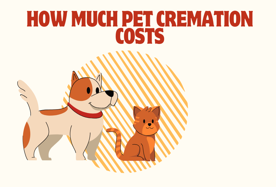 How much does pet cremation cost